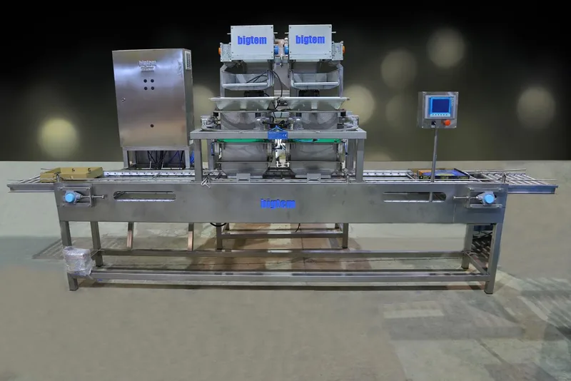 Bigtem automatic weigher-filler filling cartons on a roller conveyor