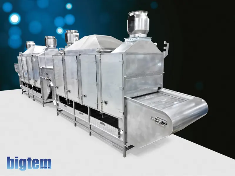 Bigtem modular continuous belt dryer for French fry strips