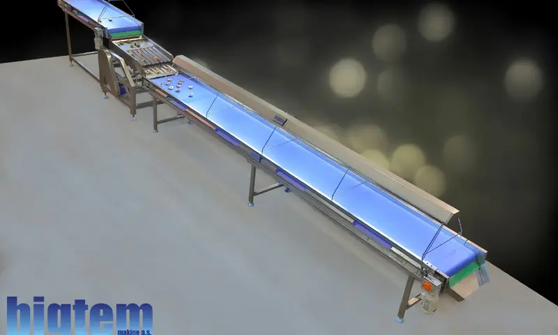 Bigtem cup-up conveyor with inspection belt for fruit halves