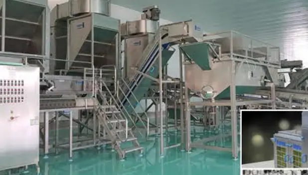 Dried fruit washing, sorting and packing line