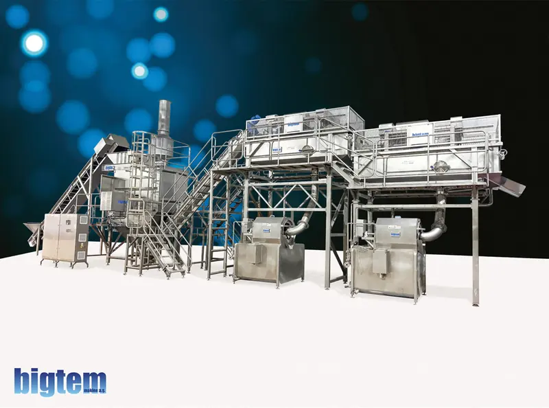 3D layout of a Bigtem frozen French fry production line