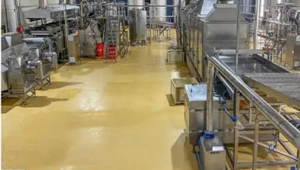 Frozen French fry production hall with Bigtem conveyors and processing equipment