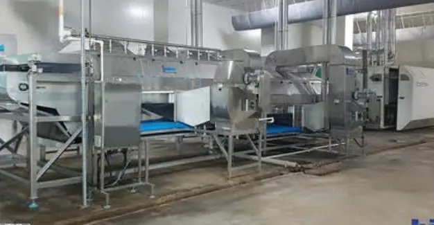 Frozen fruit and vegetable processing hall with Bigtem line equipment