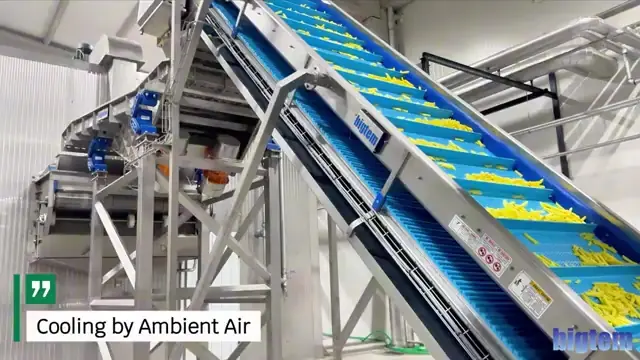 Fries on cooling conveyors before IQF freezing