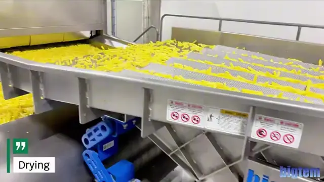 Fry strips entering the belt dryer