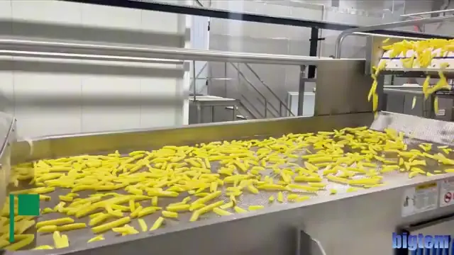 Two-stage blanching section of a French fry line