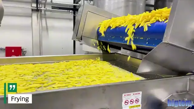 Par-fried strips leaving the continuous fryer