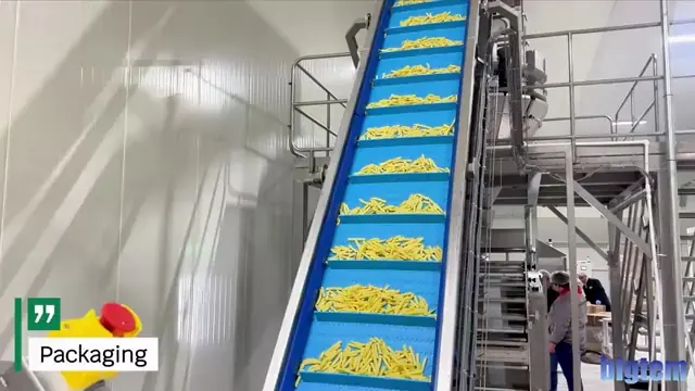 Frozen fries conveyed to packaging