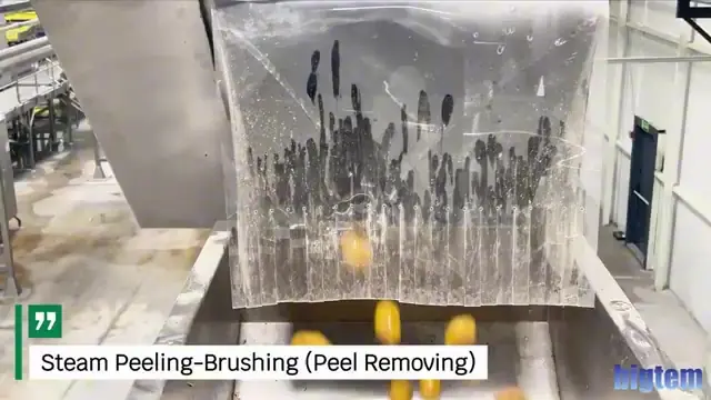 Steam peeling and brush peel removal in a French fry line