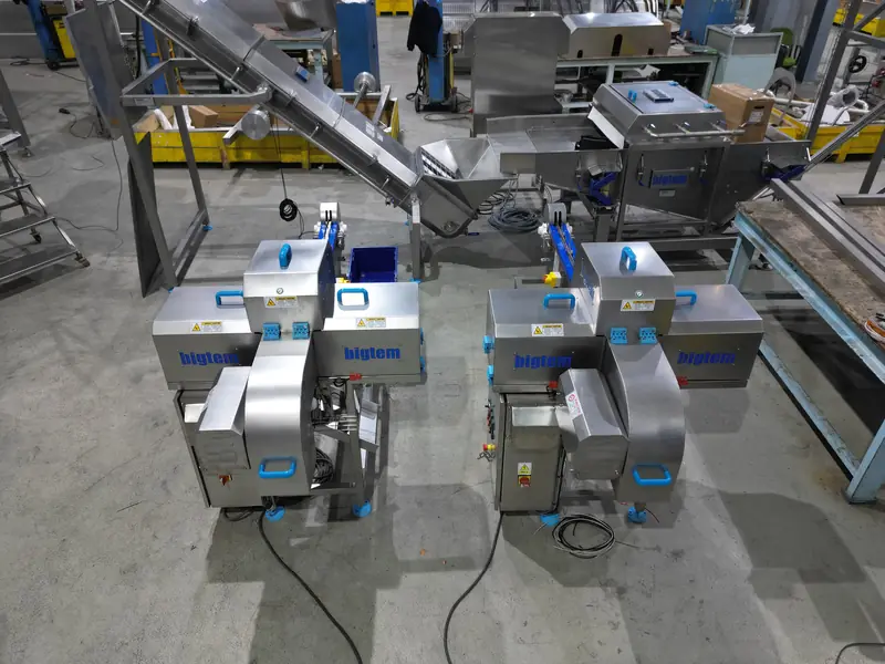 Two Bigtem onion top and tail machines with feed conveyors