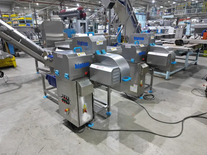 Bigtem onion top and tail machines during factory testing
