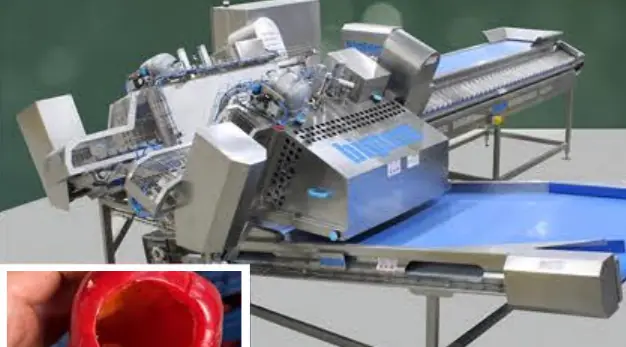 Bigtem automatic pepper and eggplant coring machine for a roasting and peeling line