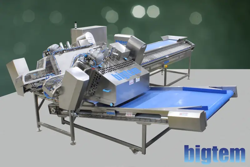 Bigtem automatic pepper stem cutter and corer
