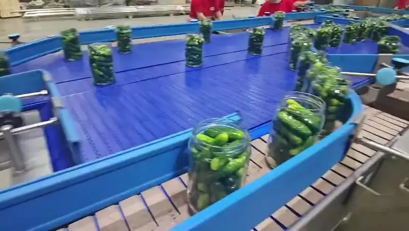 Jars packed with pickling cucumbers on a Bigtem conveyor
