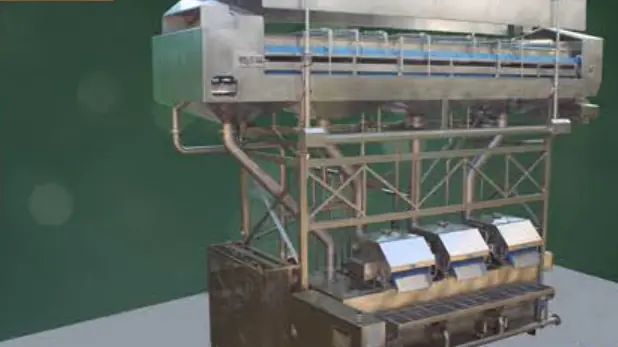 Bigtem multi-lane processing machine for ready-to-eat fruit