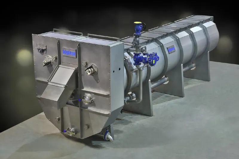 Bigtem screw-type dipping blancher for French fry strips